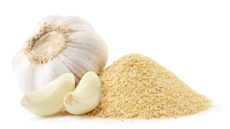 Dried Garlic from Egypt