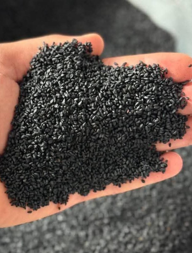 Black Seed