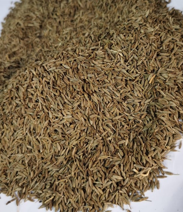 Egyptian Cumin