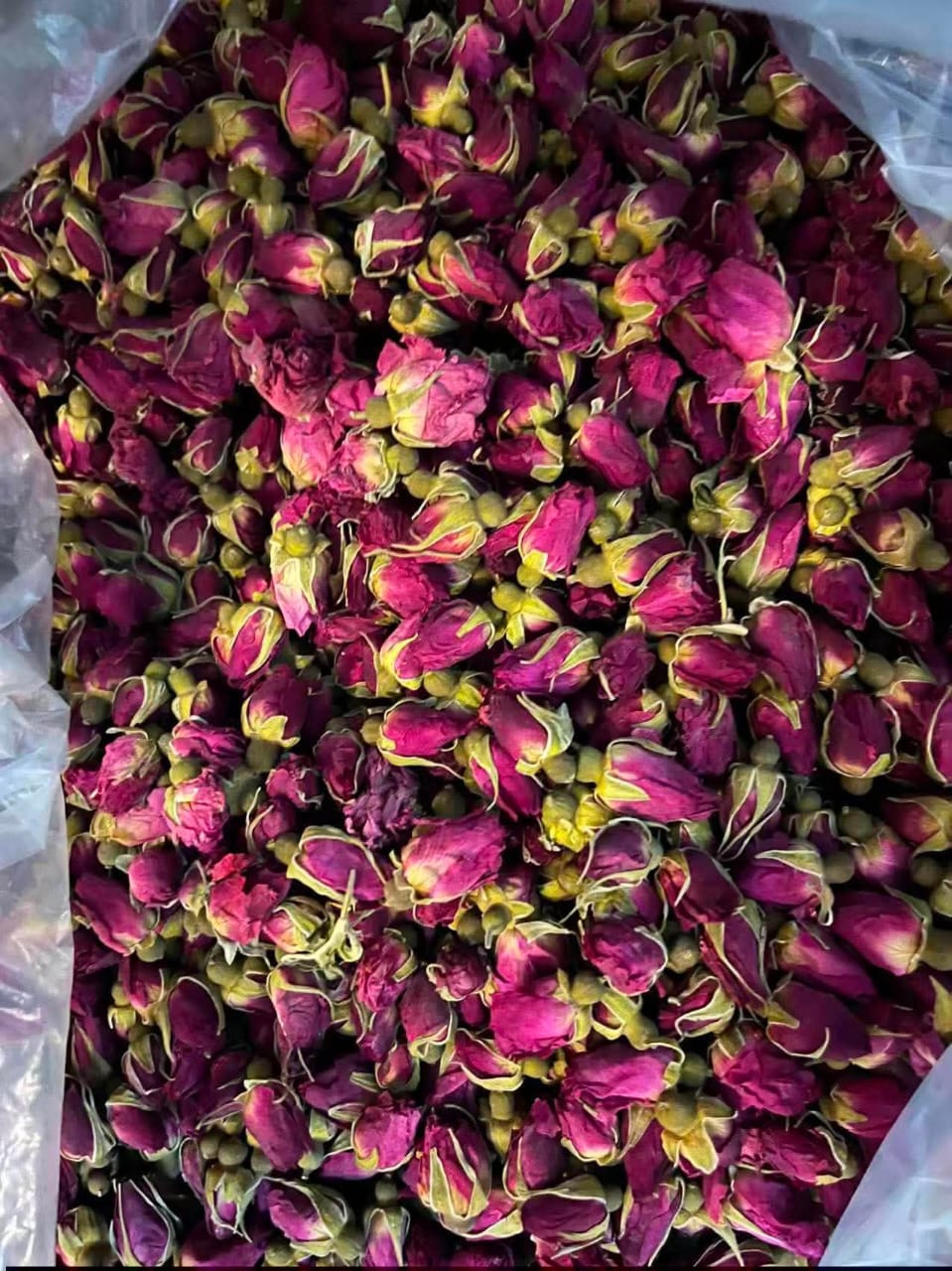 Rose Buds