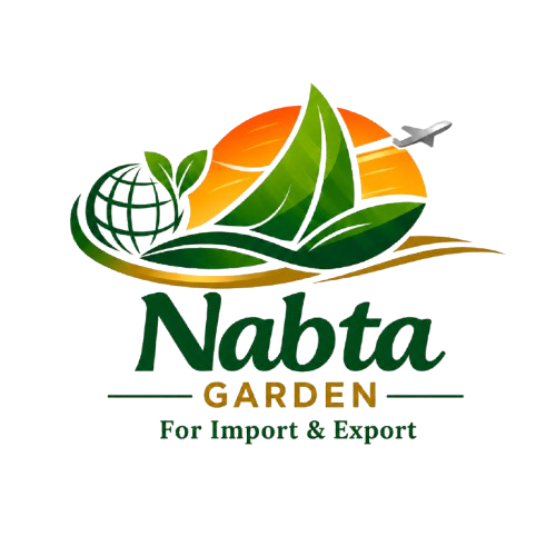 Nabta Garden