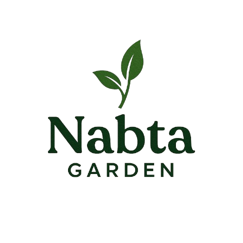 Nabta Garden